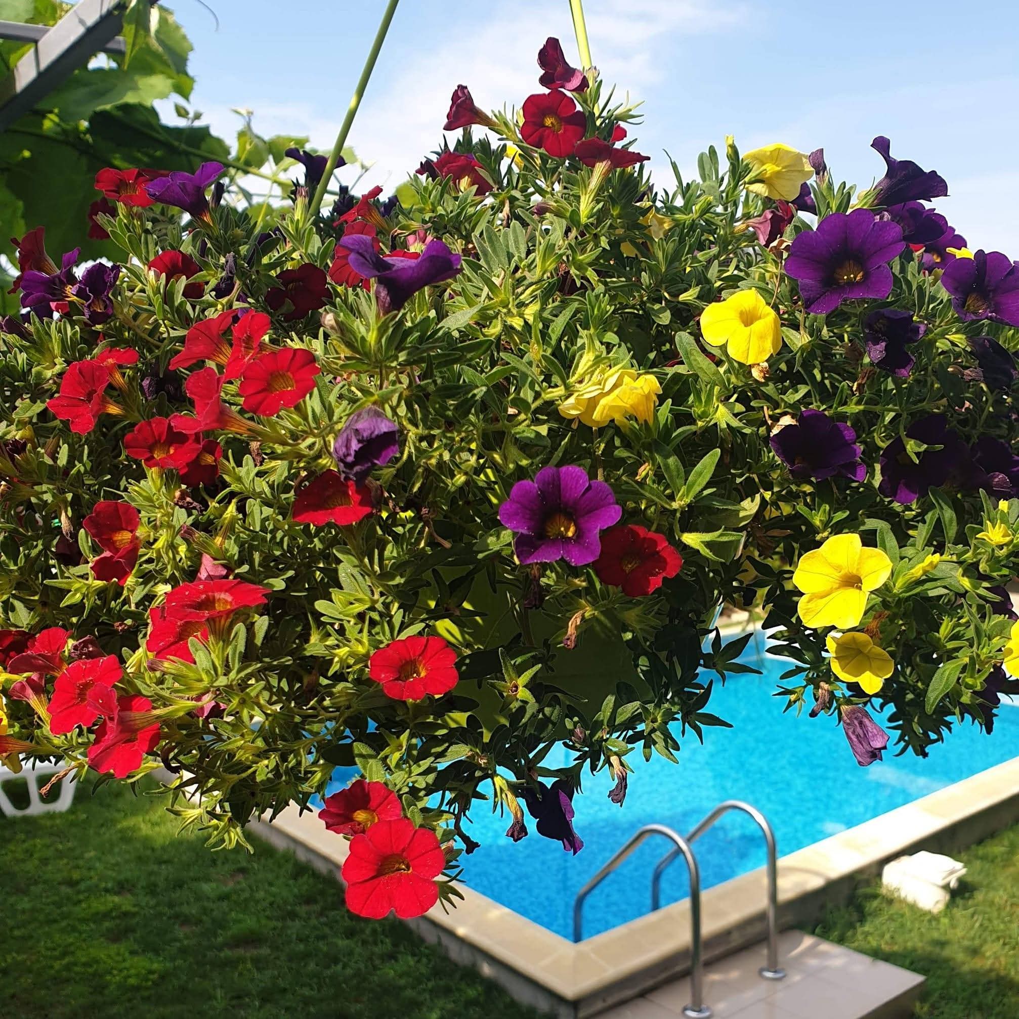 Общ изглед към сградата и басейна